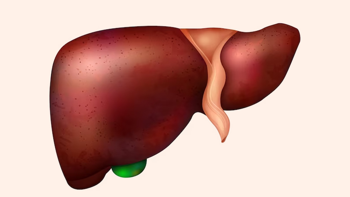 Expert Explains The Role of Hepatitis in the Rising Incidence of Liver Cancer