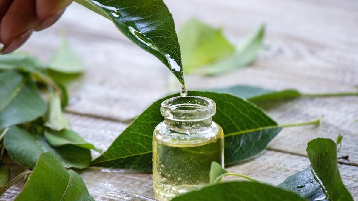 DIY Tea Tree Oil Serum: Your Natural Defense Against Monsoon Acne